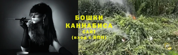 PSILOCYBIN Алексин